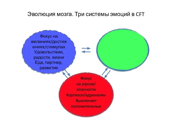 Эволюция мозга. Три системы эмоций в CFT