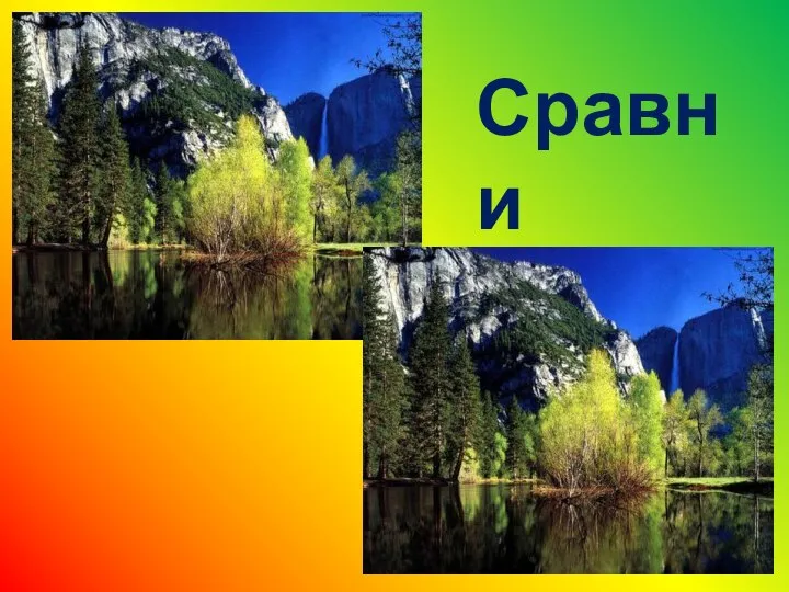 Сравни