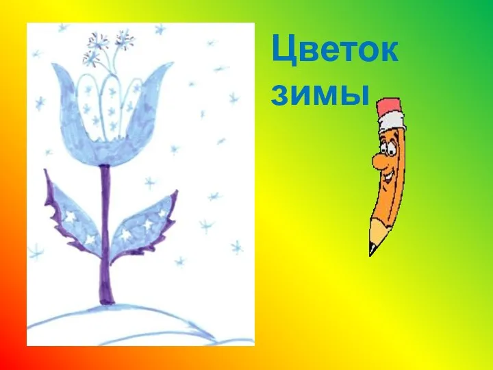 Цветок зимы