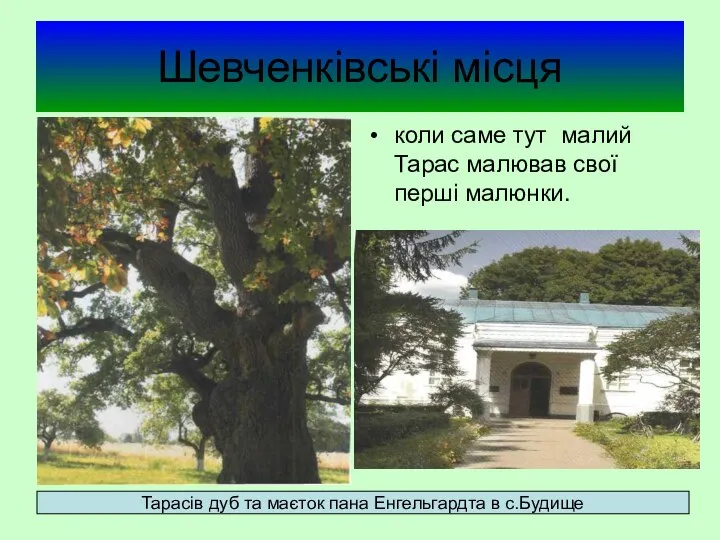 Шевченківські місця коли саме тут малий Тарас малював свої перші малюнки.