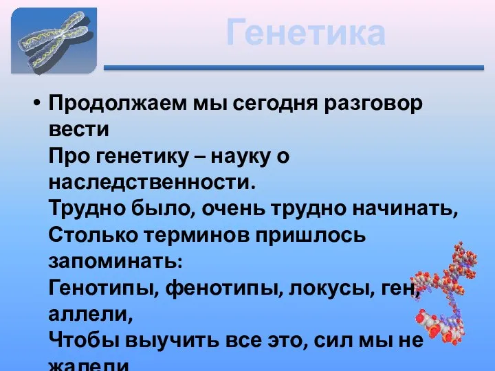 Генетика Продолжаем мы сегодня разговор вести Про генетику – науку о