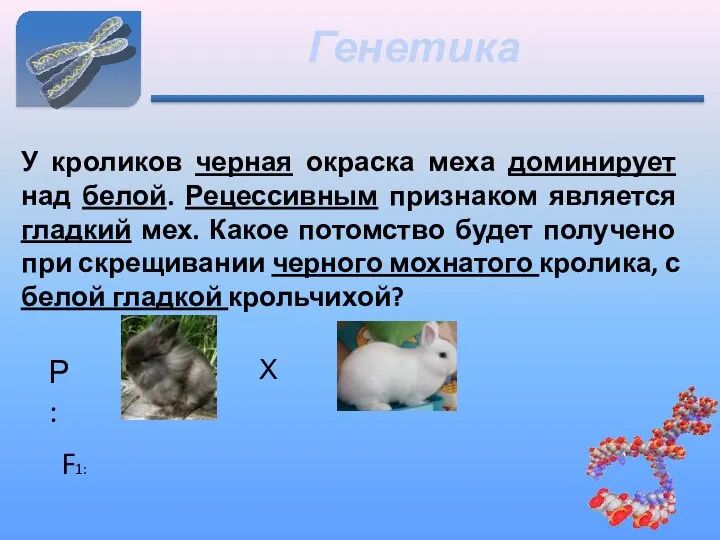 Генетика У кроликов черная окраска меха доминирует над белой. Рецессивным признаком