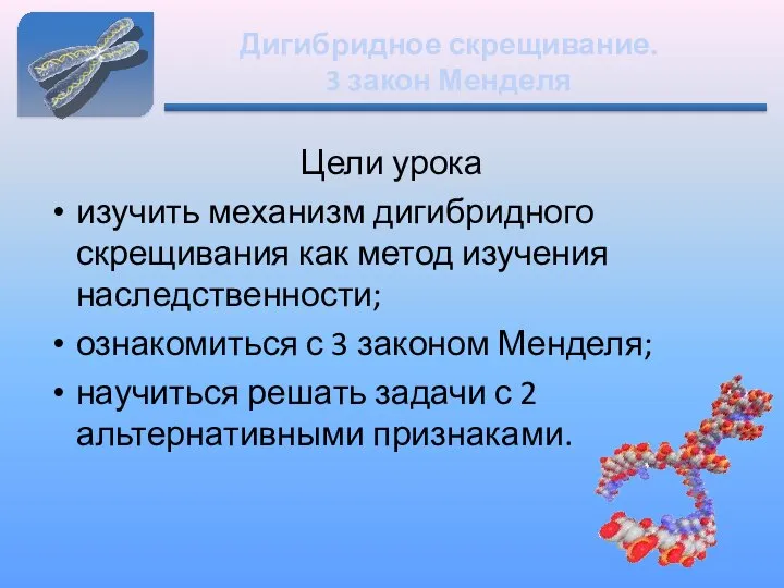 Дигибридное скрещивание. 3 закон Менделя Цели урока изучить механизм дигибридного скрещивания