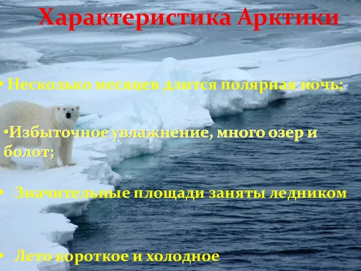 Характеристика Арктики Несколько месяцев длится полярная ночь; Значительные площади заняты ледником Лето короткое и холодное