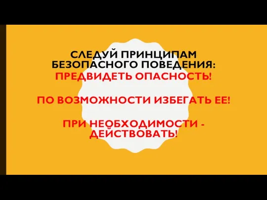 СЛЕДУЙ ПРИНЦИПАМ БЕЗОПАСНОГО ПОВЕДЕНИЯ: ПРЕДВИДЕТЬ ОПАСНОСТЬ! ПО ВОЗМОЖНОСТИ ИЗБЕГАТЬ ЕЕ! ПРИ НЕОБХОДИМОСТИ - ДЕЙСТВОВАТЬ!