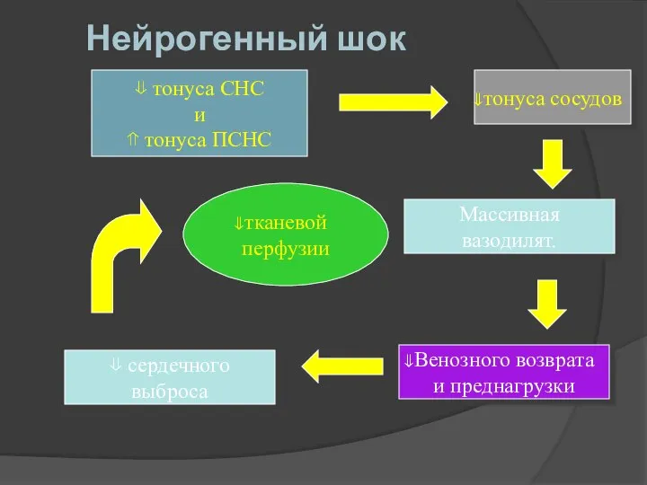 Нейрогенный шок ⇓ тонуса СНС и ⇑ тонуса ПСНС