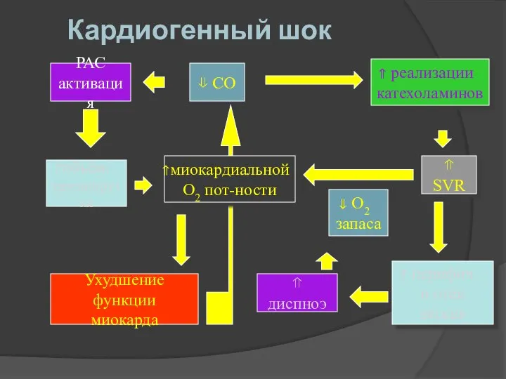 Кардиогенный шок ⇓ CO