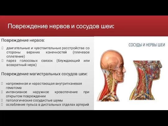 Повреждение нервов и сосудов шеи: двигательные и чувствительные расстройства со стороны