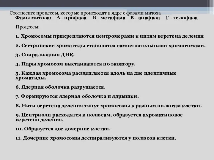 Соотнесите процессы, которые происходят в ядре с фазами митоза Фазы митоза: