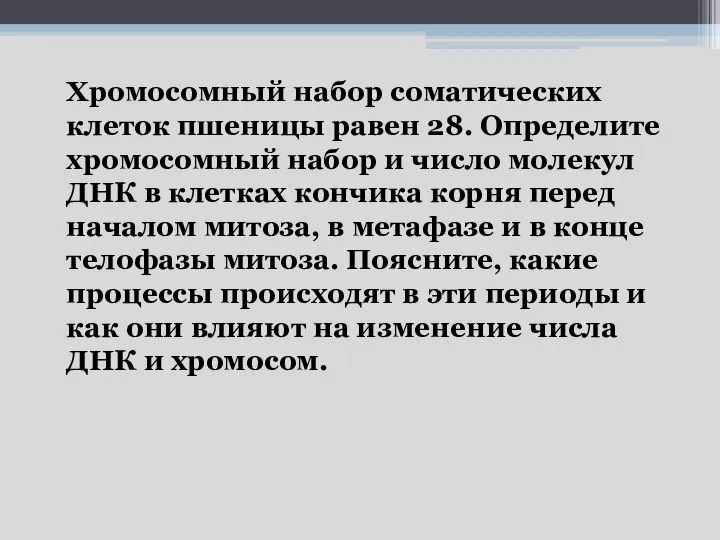 Хромосомный набор соматических клеток пшеницы равен 28. Определите хромосомный набор и