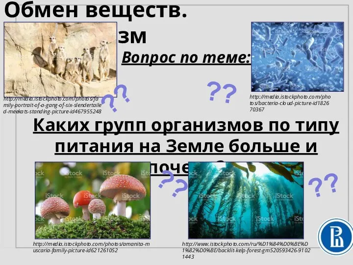 Вопрос по теме: Каких групп организмов по типу питания на Земле