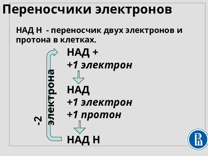 Переносчики электронов НАД Н - переносчик двух электронов и протона в