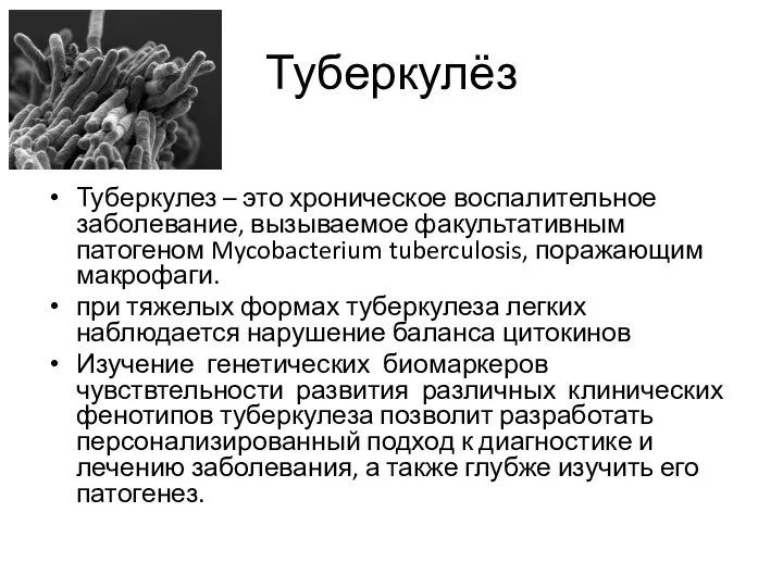 Туберкулёз Туберкулез – это хроническое воспалительное заболевание, вызываемое факультативным патогеном Mycobacterium