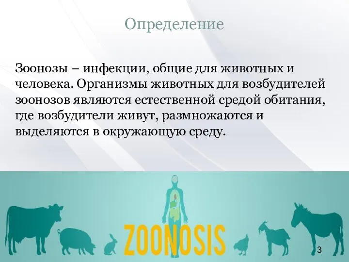 Определение Зоонозы – инфекции, общие для животных и человека. Организмы животных