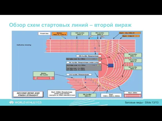 Обзор схем стартовых линий – второй вираж Беговые виды– Slide 13/13