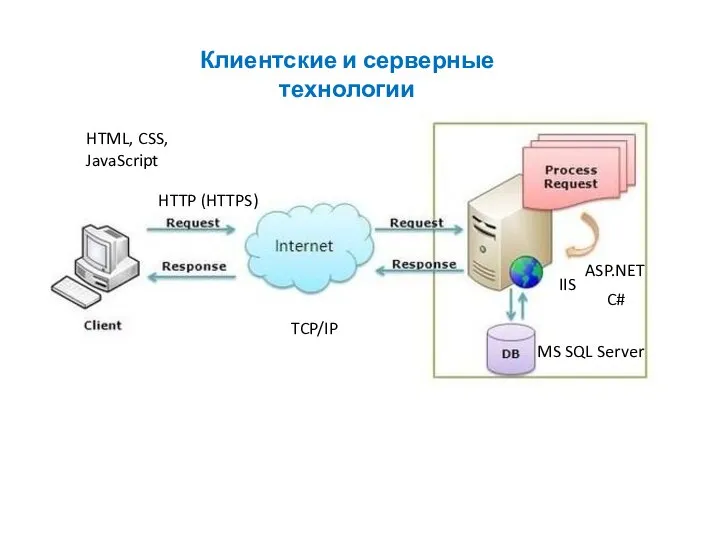 HTML, CSS, JavaScript IIS MS SQL Server C# ASP.NET HTTP (HTTPS) TCP/IP Клиентские и серверные технологии