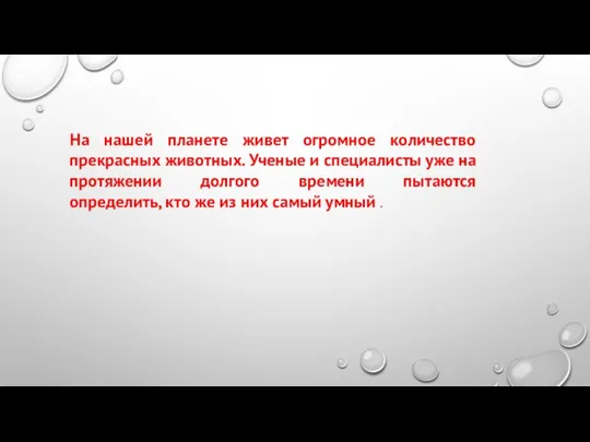 На нашей планете живет огромное количество прекрасных животных. Ученые и специалисты