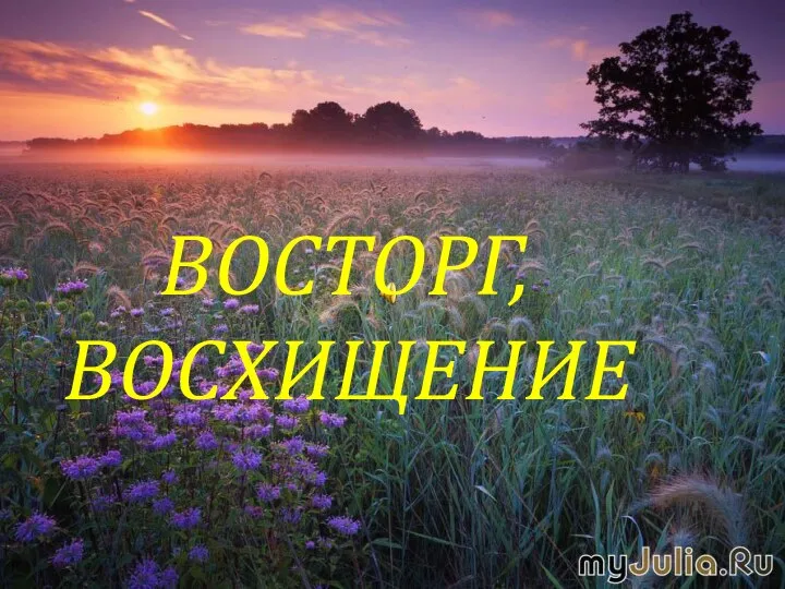 ВОСТОРГ, ВОСХИЩЕНИЕ