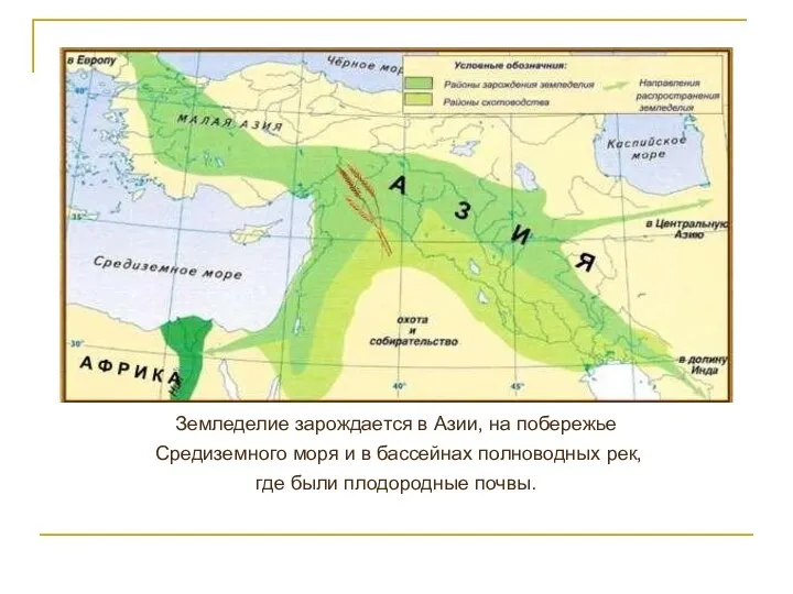 Земледелие зарождается в Азии, на побережье Средиземного моря и в бассейнах