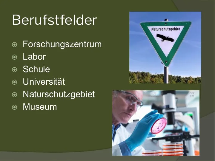 Berufstfelder Forschungszentrum Labor Schule Universität Naturschutzgebiet Museum