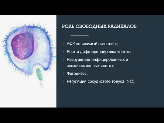 РОЛЬ СВОБОДНЫХ РАДИКАЛОВ АФК-зависимый сигналинг; Рост и дифференцировка клеток; Разрушение инфицированных