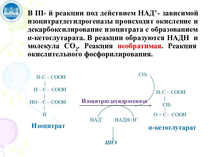 В III- й реакции под действием НАД+- зависимой изоцитратдегидрогеназы происходят окисление