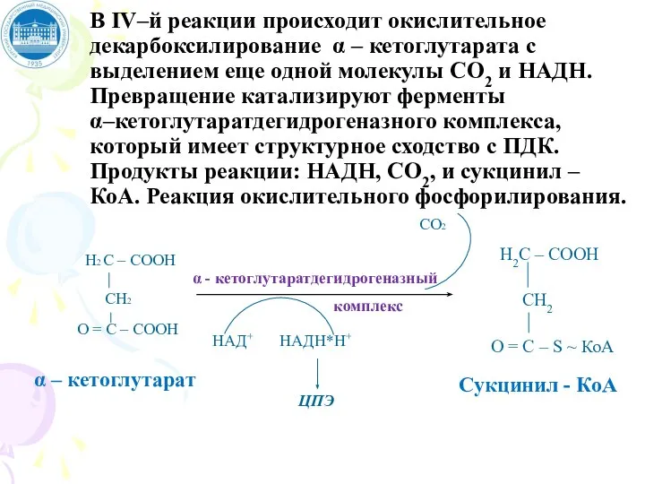 В IV–й реакции происходит окислительное декарбоксилирование α – кетоглутарата с выделением