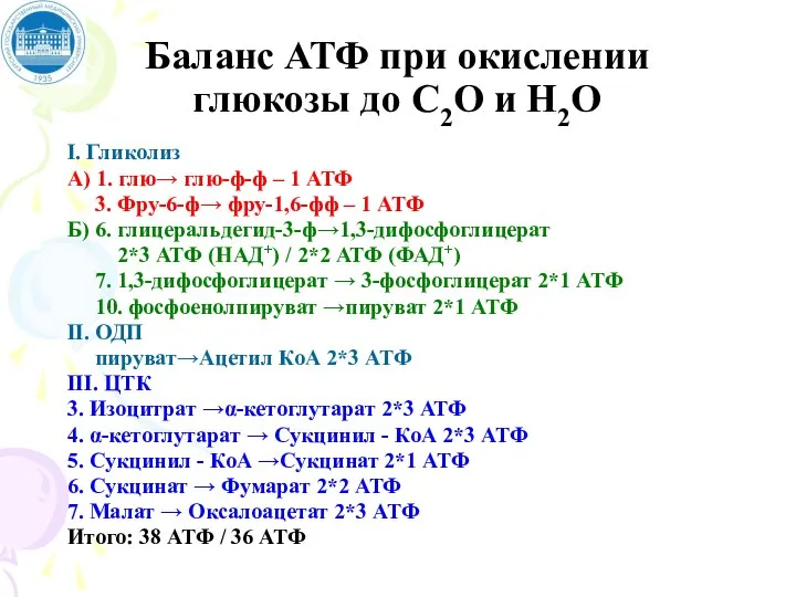 Баланс АТФ при окислении глюкозы до С2О и Н2О I. Гликолиз