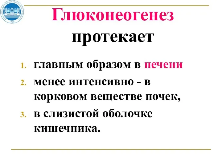 Глюконеогенез протекает главным образом в печени менее интенсивно - в корковом