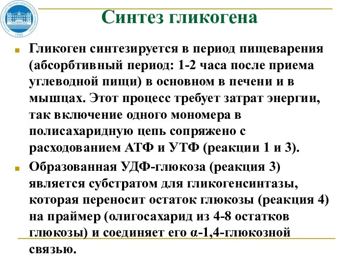 Синтез гликогена Гликоген синтезируется в период пищеварения (абсорбтивный период: 1-2 часа