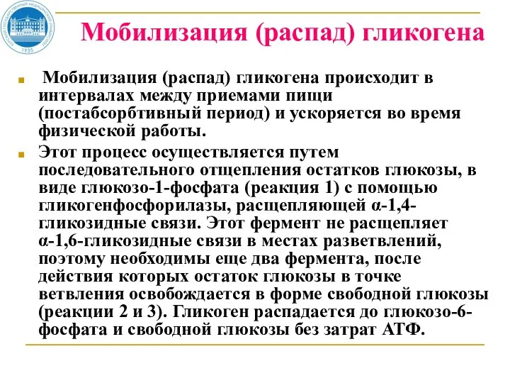 Мобилизация (распад) гликогена Мобилизация (распад) гликогена происходит в интервалах между приемами