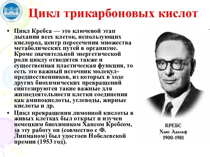 Цикл трикарбоновых кислот Цикл Кребса — это ключевой этап дыхания всех