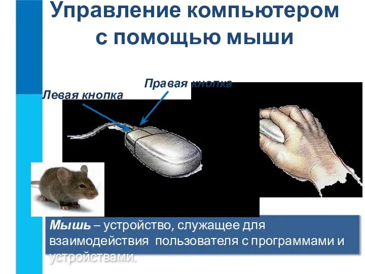 Управление компьютером с помощью мыши Мышь – устройство, служащее для взаимодействия