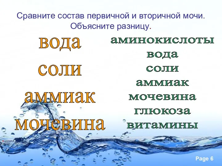 аминокислоты вода соли аммиак мочевина глюкоза витамины вода соли аммиак мочевина