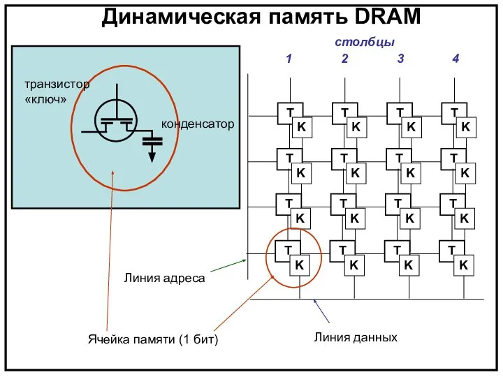 Динамическая память DRAM Линия адреса Линия данных Ячейка памяти (1 бит) столбцы 1 2 3 4