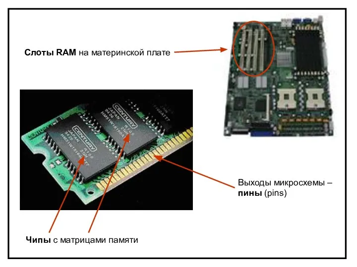 Чипы с матрицами памяти Выходы микросхемы –пины (pins) Слоты RAM на материнской плате