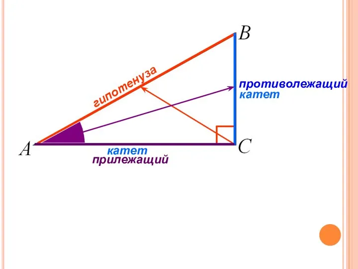 гипотенуза катет катет прилежащий противолежащий