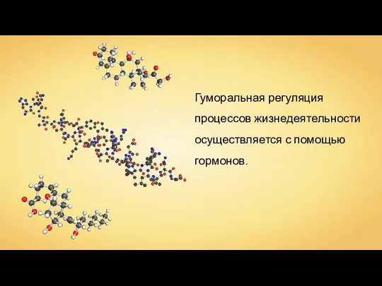 Гуморальная регуляция процессов жизнедеятельности осуществляется с помощью гормонов.