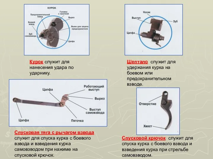 Курок служит для нанесения удара по ударнику. Шептало служит для удержания