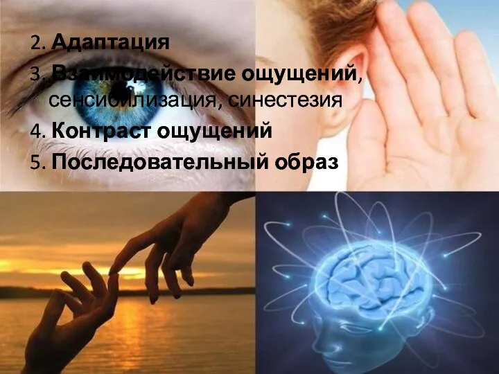 2. Адаптация 3. Взаимодействие ощущений, сенсибилизация, синестезия 4. Контраст ощущений 5. Последовательный образ