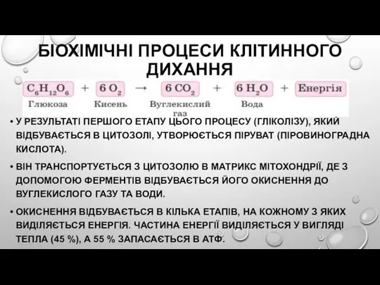 БІОХІМІЧНІ ПРОЦЕСИ КЛІТИННОГО ДИХАННЯ У РЕЗУЛЬТАТІ ПЕРШОГО ЕТАПУ ЦЬОГО ПРОЦЕСУ (ГЛІКОЛІЗУ),