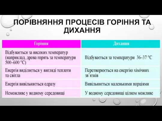 ПОРІВНЯННЯ ПРОЦЕСІВ ГОРІННЯ ТА ДИХАННЯ