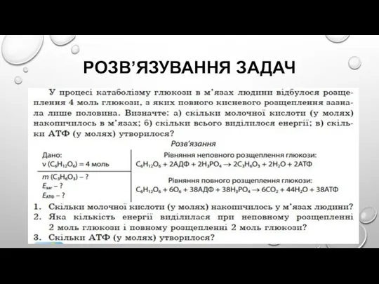 РОЗВ’ЯЗУВАННЯ ЗАДАЧ