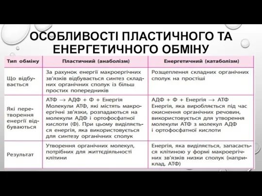 ОСОБЛИВОСТІ ПЛАСТИЧНОГО ТА ЕНЕРГЕТИЧНОГО ОБМІНУ