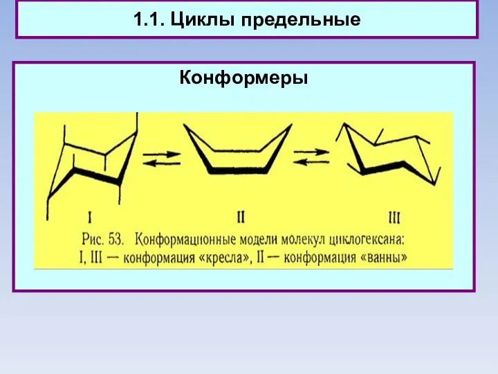 1.1. Циклы предельные Конформеры