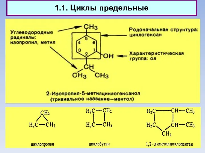 1.1. Циклы предельные