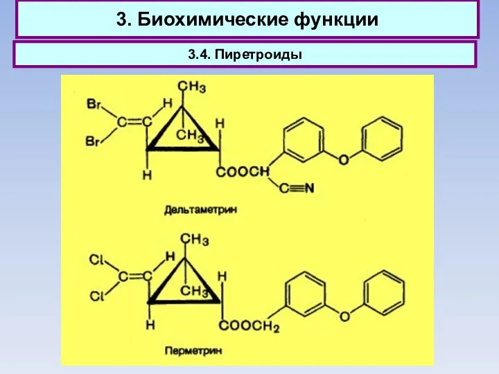 3. Биохимические функции 3.4. Пиретроиды