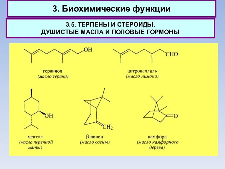 3. Биохимические функции 3.5. ТЕРПЕНЫ И СТЕРОИДЫ. ДУШИСТЫЕ МАСЛА И ПОЛОВЫЕ ГОРМОНЫ