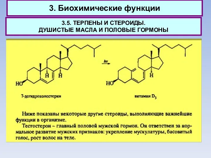 3. Биохимические функции 3.5. ТЕРПЕНЫ И СТЕРОИДЫ. ДУШИСТЫЕ МАСЛА И ПОЛОВЫЕ ГОРМОНЫ