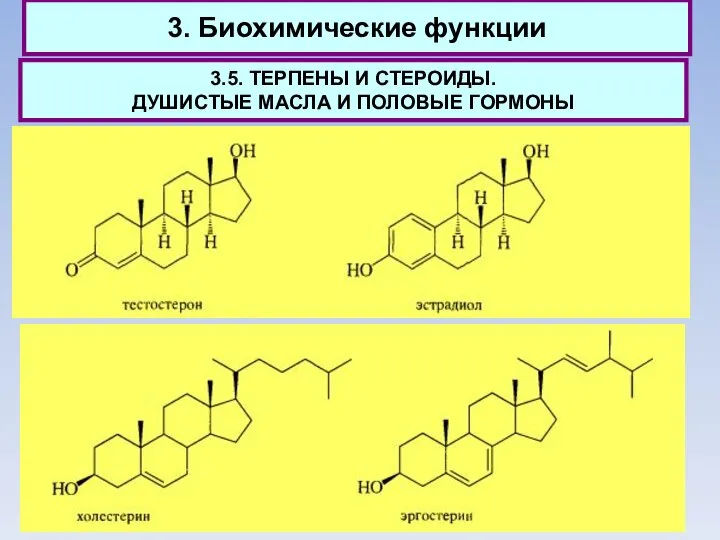 3. Биохимические функции 3.5. ТЕРПЕНЫ И СТЕРОИДЫ. ДУШИСТЫЕ МАСЛА И ПОЛОВЫЕ ГОРМОНЫ